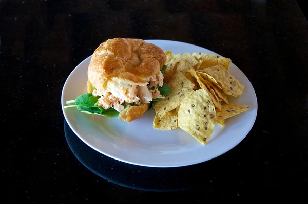 stock image Chicken salad sandwich with chips