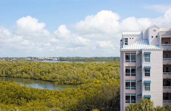 Vogelperspektive auf die Bonita-Quellen in Florida — Stockfoto