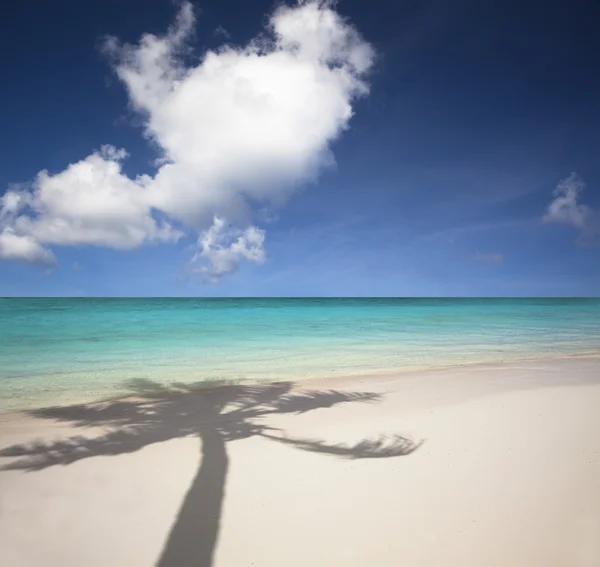 Güzel beyaz kum plaj ve palmiye ağacı gölge — Stok fotoğraf