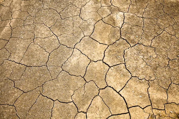 Terreno incrinato e arido senza acqua — Foto Stock