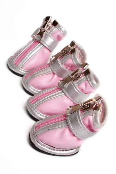 Pink dogs boots — Stok fotoğraf