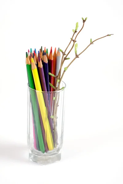 Kleur potloden en tak met bladeren in een glas — Stockfoto
