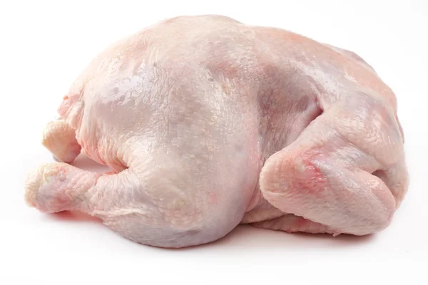 Pollo su sfondo bianco — Foto Stock
