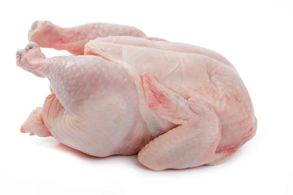 Rohe Henne auf weißem Hintergrund — Stockfoto