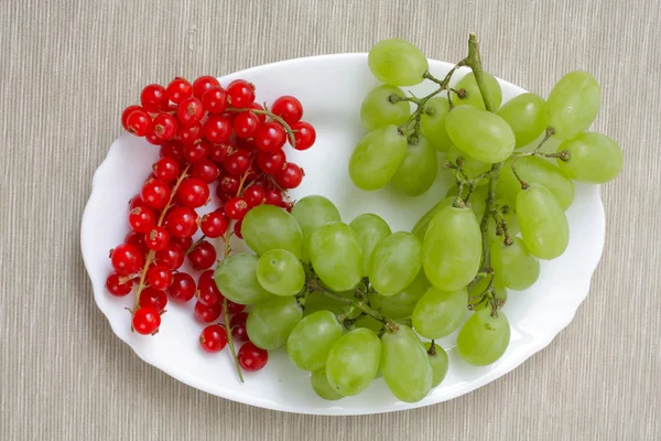 Rode bessen en druiven — Stockfoto