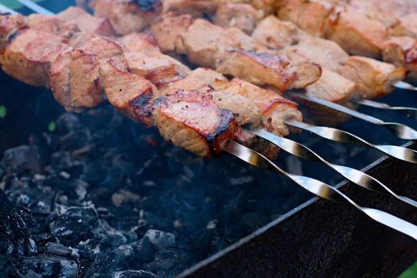Kebabs suculentos — Fotografia de Stock