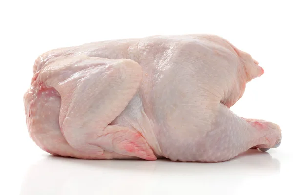 Сырая курица на белом фоне — стоковое фото