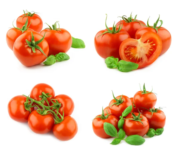 stock image Tomatoes isolated