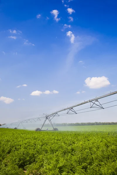 Irrigation in Field / agriculture — Stock Photo, Image