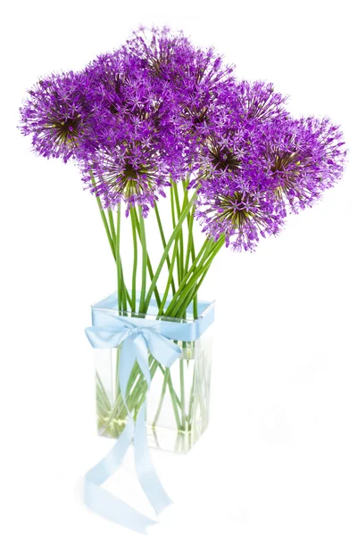 Bouqet de Allium / isolado em branco — Fotografia de Stock