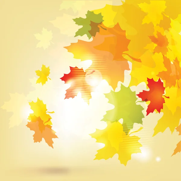 Autumn background with leaves and sun / eps10 — Stock Vector