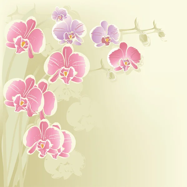 Orchid Symphony Seamless Delight Stock Illustration - Illustration
