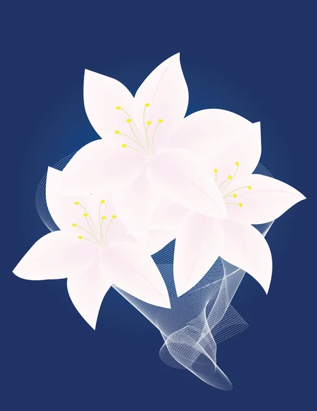 음울 하 게 어두운 파란색 배경에 흰 백합 꽃다발 — 스톡 벡터