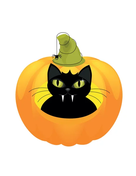Katze auf einem Halloween-Kürbis. — Stockvektor