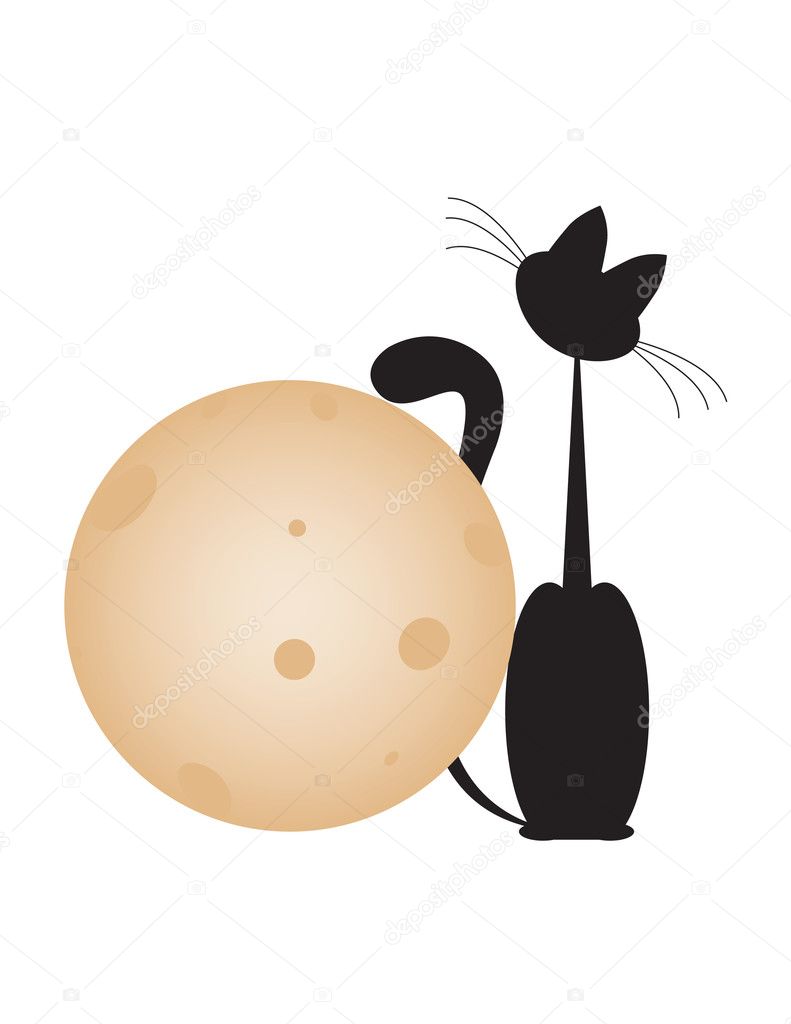 Cat and moon