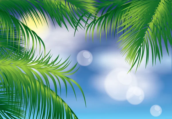 Tropische achtergrond, vectorillustratie — Stockvector