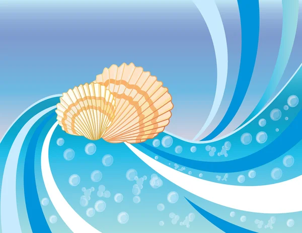Summer background with shells. vector illustration — Stock Vector