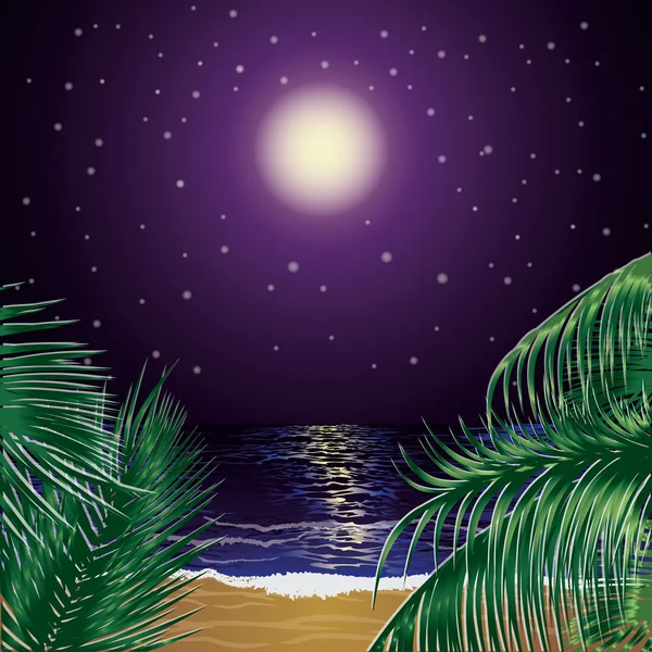 Tropische nacht met palmen, vectorillustratie — Stockvector