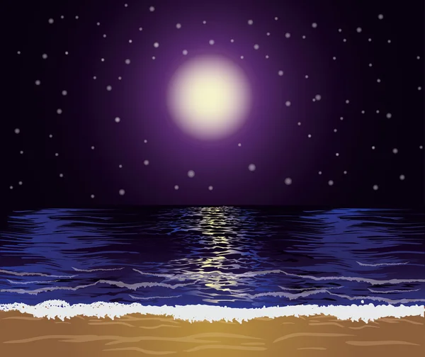 Belle nuit tropicale, illustration vectorielle — Image vectorielle