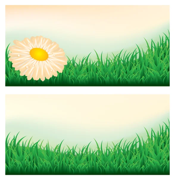 Banderas del prado de verano, ilustración vectorial — Vector de stock
