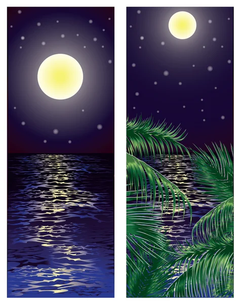 Two banners summer night, vector illustration — Stock Vector