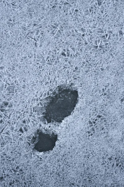 雪の中の足跡. — ストック写真