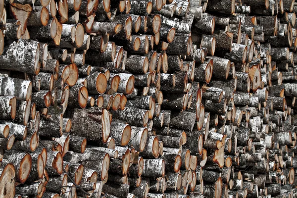 stock image Pile of wood log.