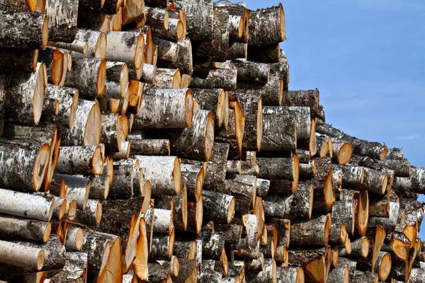 stock image Pile of wood log.