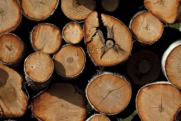 stock image Pile of wood log.