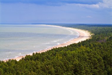 Aerial view on the seashore, Latvia. clipart