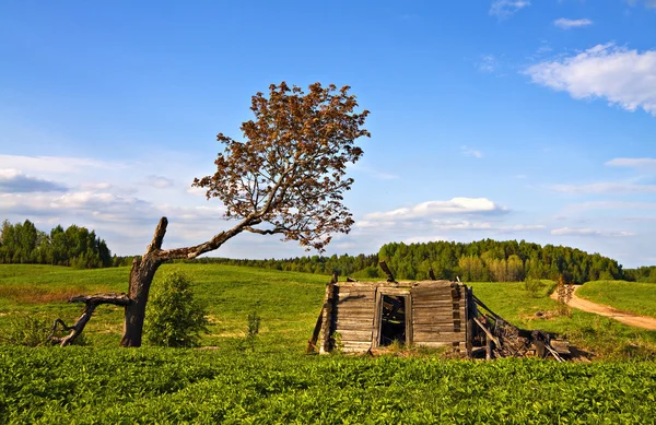 Verlaten huis op platteland. Letland. — Stockfoto
