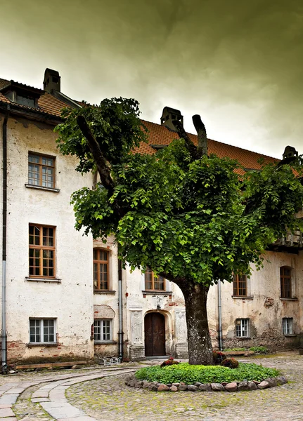 Starý dvůr hradu se stromem. — Stock fotografie