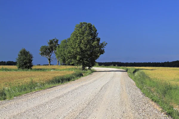 Дорога в сільській місцевості . — стокове фото
