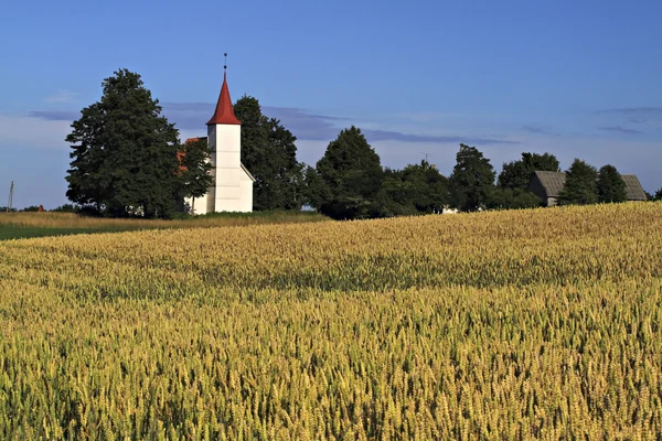 Église sur le terrain. Igene. Lettonie . — Photo