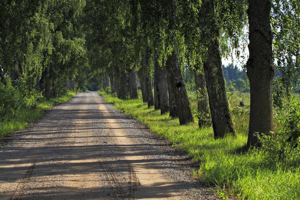 Droga na wsi. — Zdjęcie stockowe