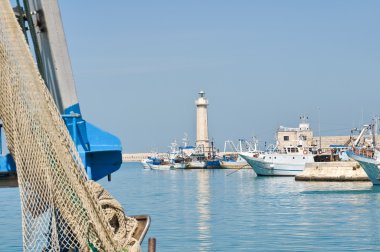 View of Molfetta seaport. Apulia. clipart