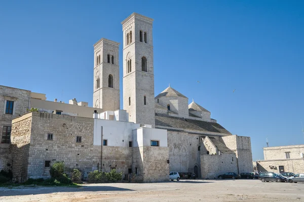 Katedrála svatého corrado. Molfetta. Apulie. — Stock fotografie