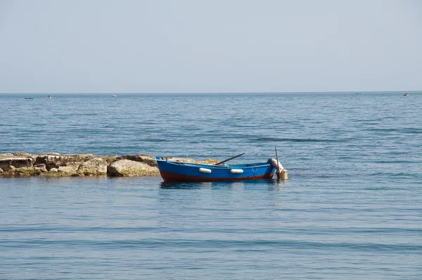 Barca con pescatore . — Foto Stock