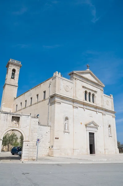 Basilica della Madonna dei Martiri. Molfetta. Apulia. — Zdjęcie stockowe
