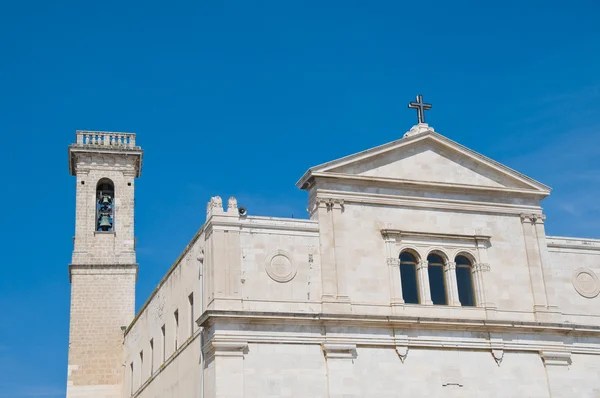 Basilica della Madonna dei Martiri. Molfetta. Apulia. — Zdjęcie stockowe