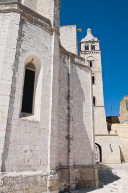 Cathedral St maria Maggiore. Barletta. Apulia.