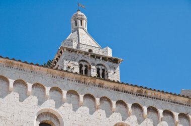 Cathedral St maria Maggiore. Barletta. Apulia.