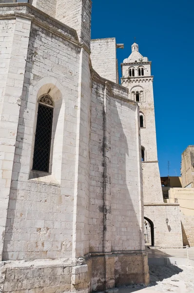 Katedrála st. maria Maggiore. Barletta. Apulie. — Stock fotografie
