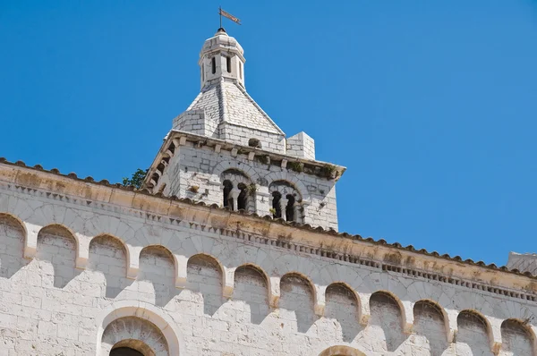Catedral de Santa María la Mayor. Barletta. Apulia . —  Fotos de Stock