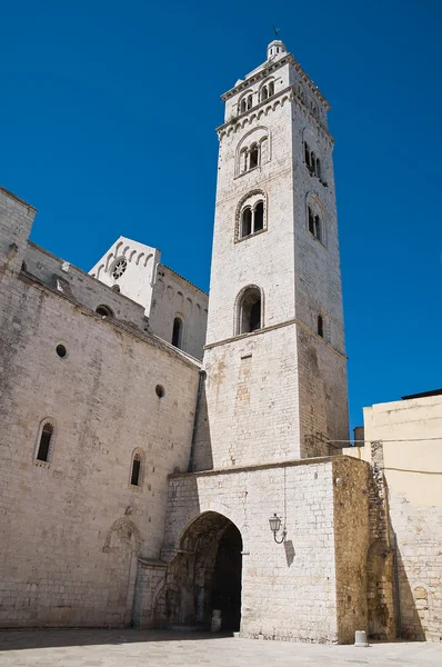 Catedral de Santa María la Mayor. Barletta. Apulia . — Foto de Stock
