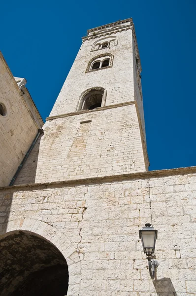 Cathedral of St. Maria Maggiore. Barletta. Apulia. — Stock Photo, Image
