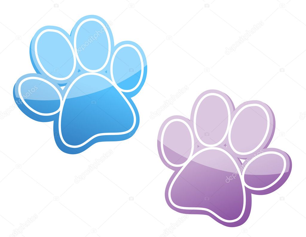 Blue and pink paws