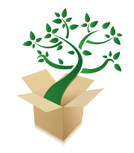 Abstract groene boom groeien uit kartonnen doos op witte achtergrond — Stockfoto