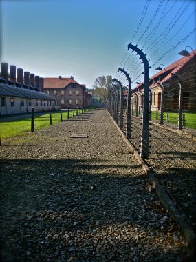 Exterior of prisoner huts at Auschwitz, Poland clipart