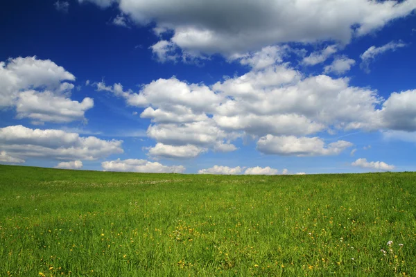 Stock image Spring landscape